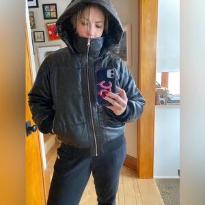 Quince 100% Leather Puffer Jacket in black size M
